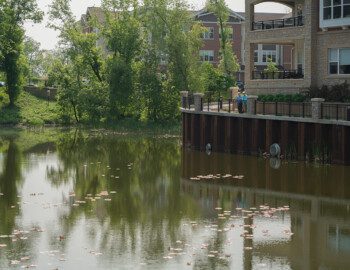 Pond next to a walking path